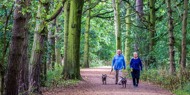 010 Elvaston Walking 003 1006648737