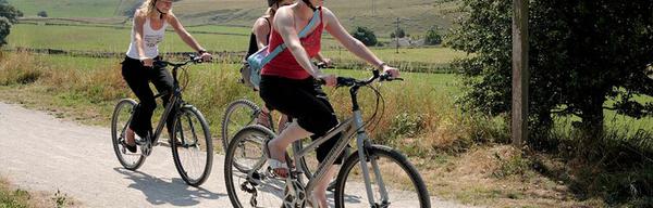 1220 Tissington Trail 1539835522