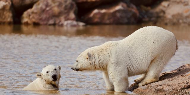 2000 01 01 01 06 13 1 2