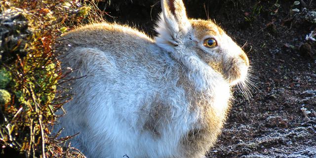 20191201113040 01 960593150