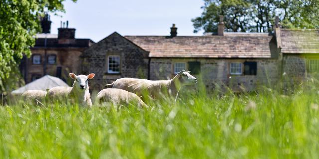 213668088 100454198984671 6035689160924802663 n