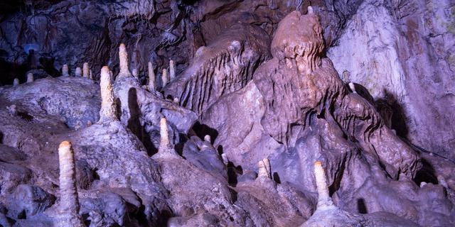 2d5e0c9906081be720bfa95a7240e423 hd