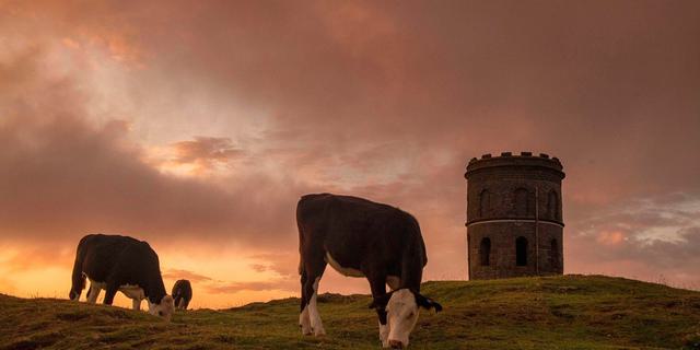 4f2bc0e7c252b91672e28042a93e0ed6 hd