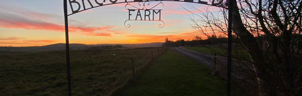 6 B041 E68 F7 B3 4613 B97 D A0 C3 B139 FD52