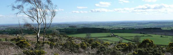 Alport Height 331012489