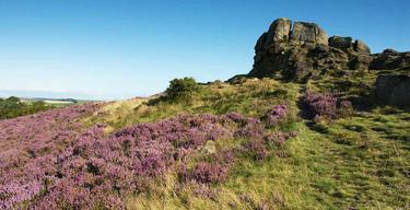 Ashover moor 1028468400