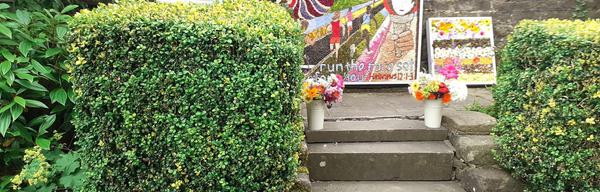 Bamford Well Dressing 2024 for 25