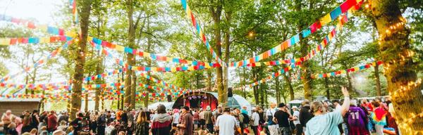 Bearded theory festival new