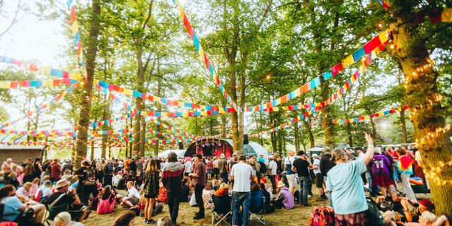 Bearded theory festival new