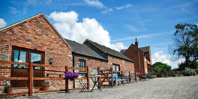 Bluebells Farm 7 new 482276625