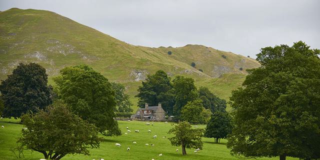 Bunster from Ilam Park web 1943643295