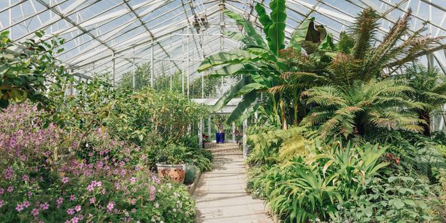 Chatsworth June 17th LR 116