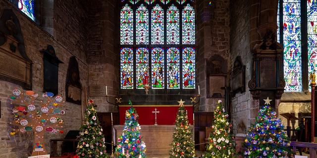 Christmas Tree Window