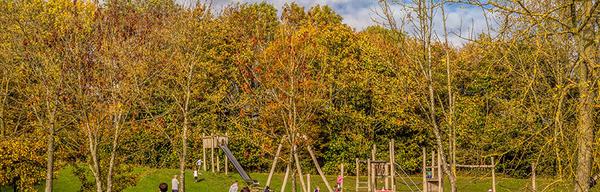 CROP 002 Shipley Park Walkers 011 1513098909