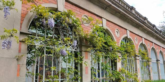 Derby arb 1 1962037868