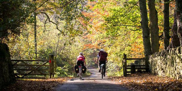 Derwent Cycle H Ire sun leaves 1220 x 620 840497833