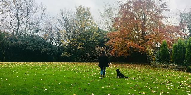 Doubletree 4 456625514