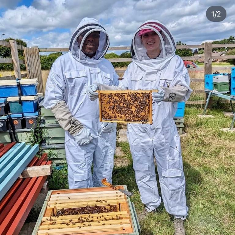 Ethical Morley Hayes 768