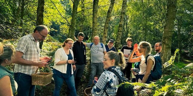 Fischers Foraging