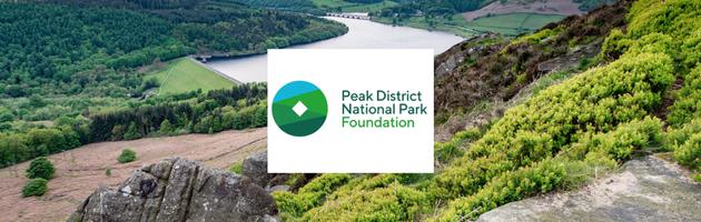 Foundation banner