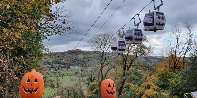 H of A halloween pumpkins NEW