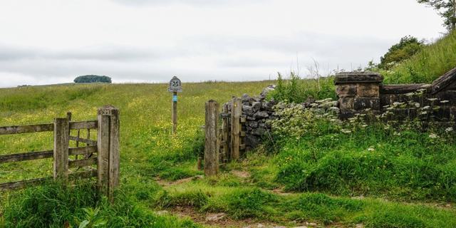 Hartington Walk