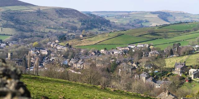 Hayfield view