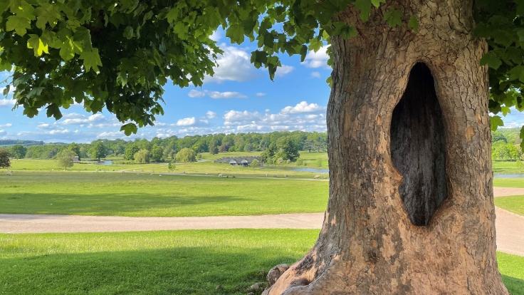 Kedleston hall 1