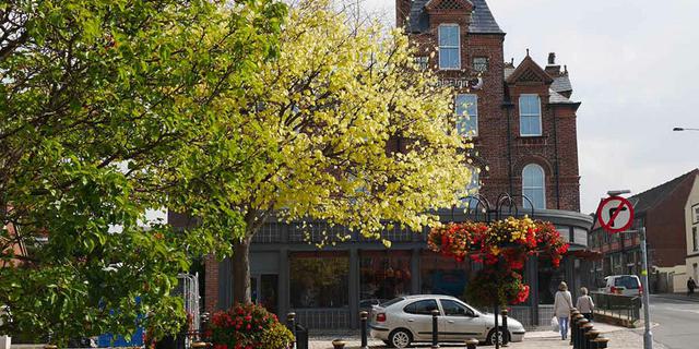 Leek 2 1220x620 1710535395