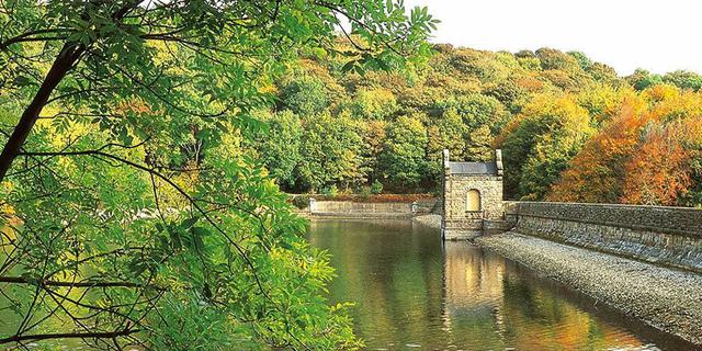 Linacre Dam 2143158799