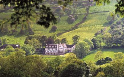 Losehill