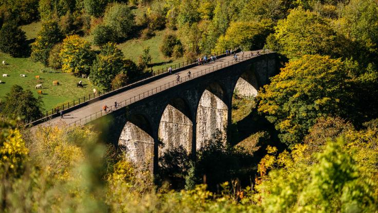 Monsal