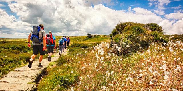 Myguidedwalks9 1394741330