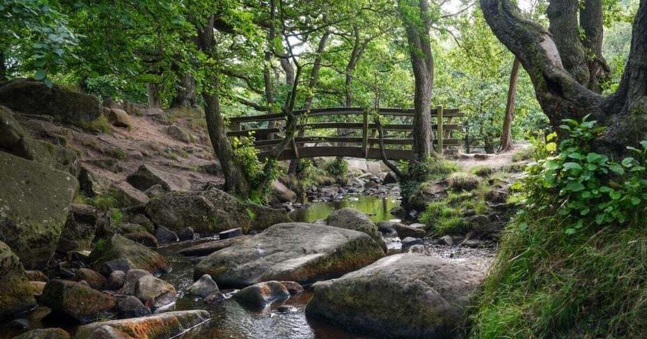 Padley Gorge 1