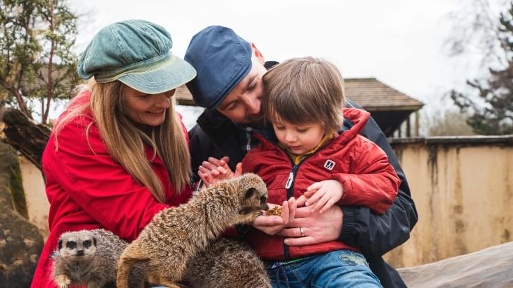 Peak Wildlife Park