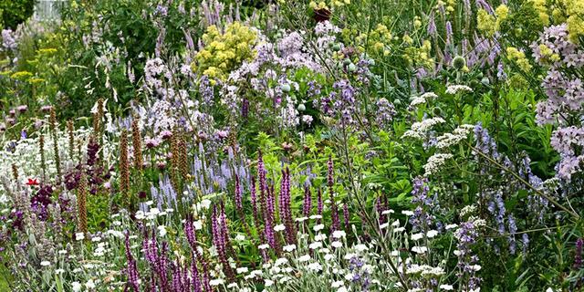 Renishaw Hall new 3 1000552397