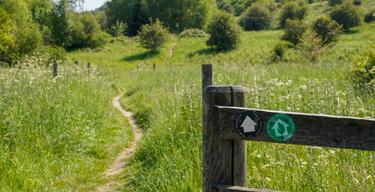 Rowsley Walk