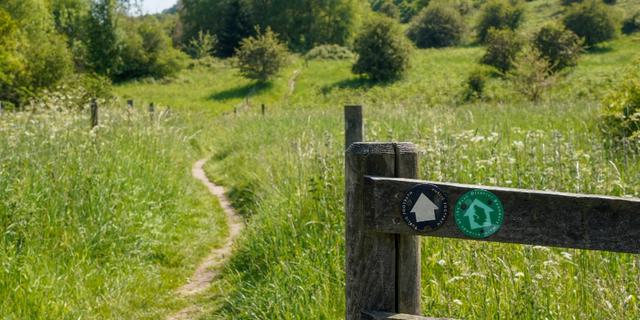 Rowsley Walk