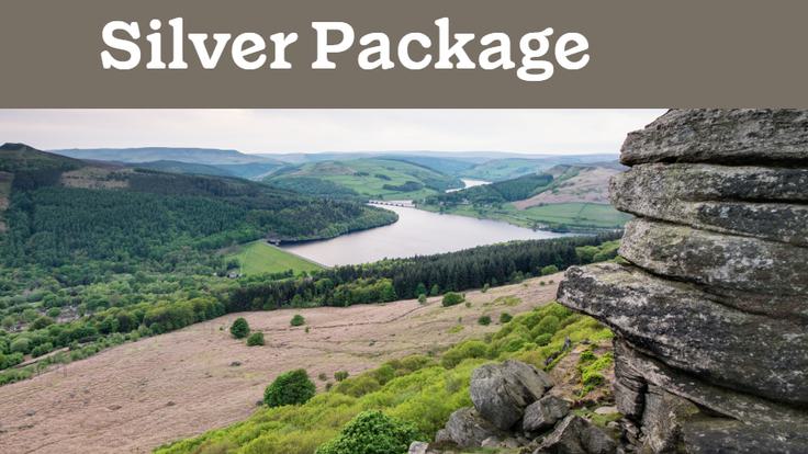 Silver package