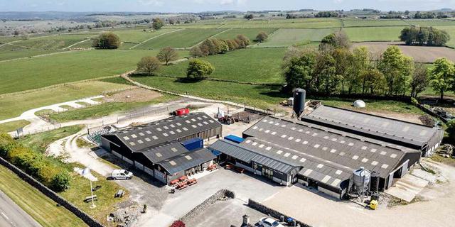 Tagg Lane 1 2 1 1695334874