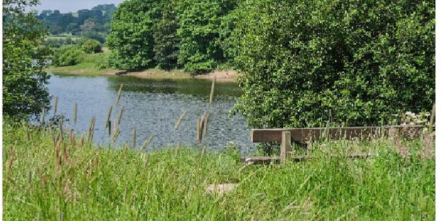 Tittesworth trail