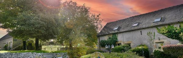 Wheeldon Trees sunrise