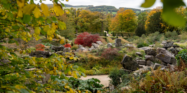 The Gardens at Chatsworth